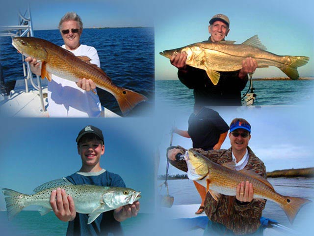 crystal river fishing charters